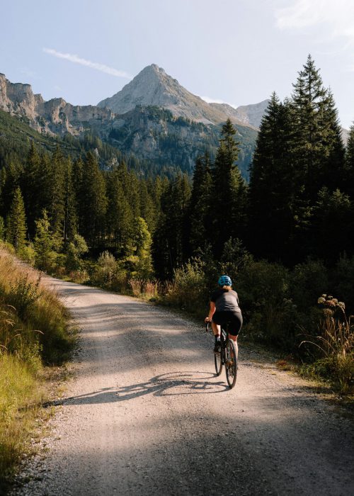 axel brunst zymxtb kosa unsplash