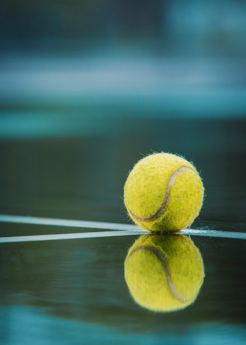 todd trapani si p nlbnr0 unsplash